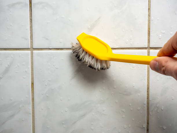  Meadville, PA Mold Removal Pros