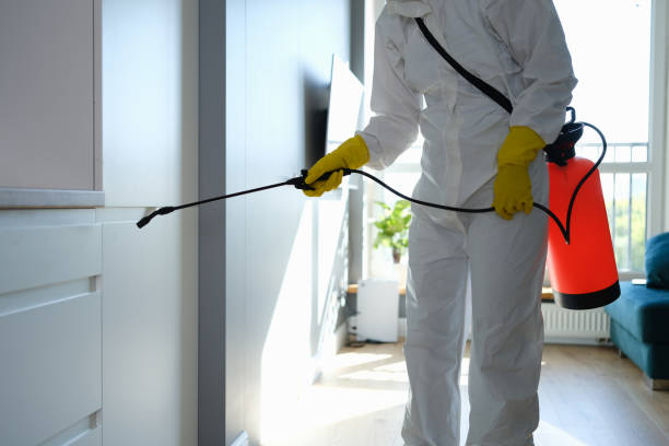 Professional Mold Removal in Meadville, PA